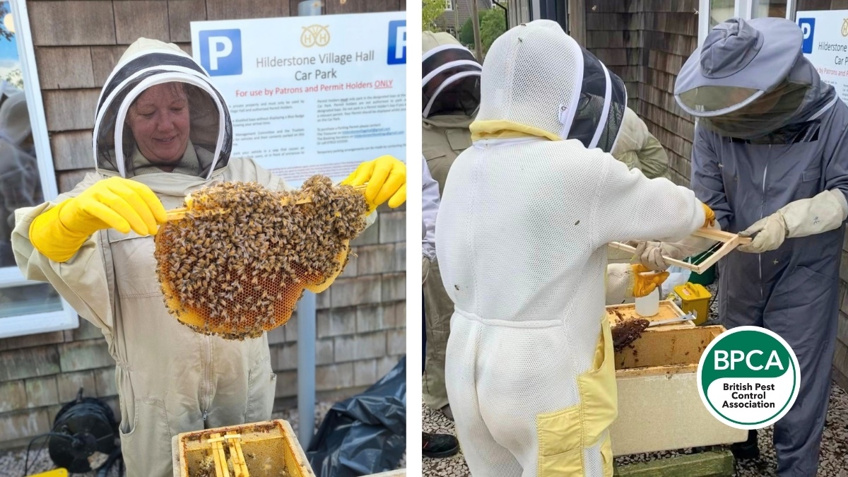 Beediseaseawarenessandbiosecurityforpestprofessionals3